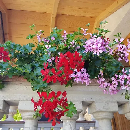 Apartman Leo Vantačići
