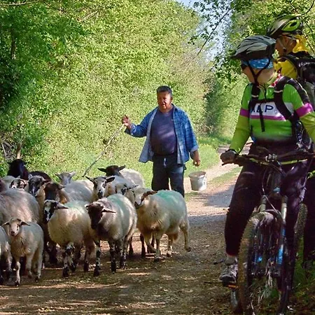 Leo 아파트 반타치치