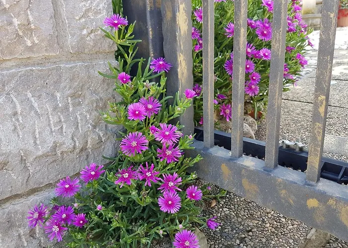 Leo Appartamento Vantacici