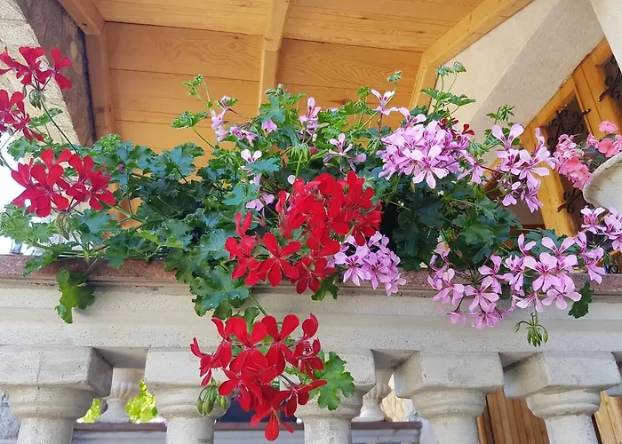 Appartamento Leo Vantacici